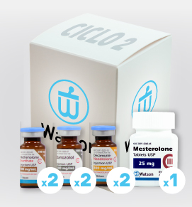 ciclo1 - Watson